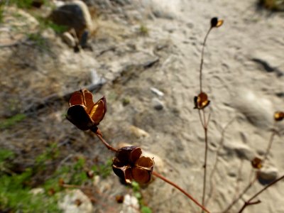P1040505 