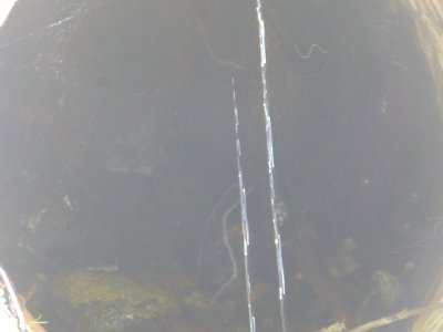 P1040508 