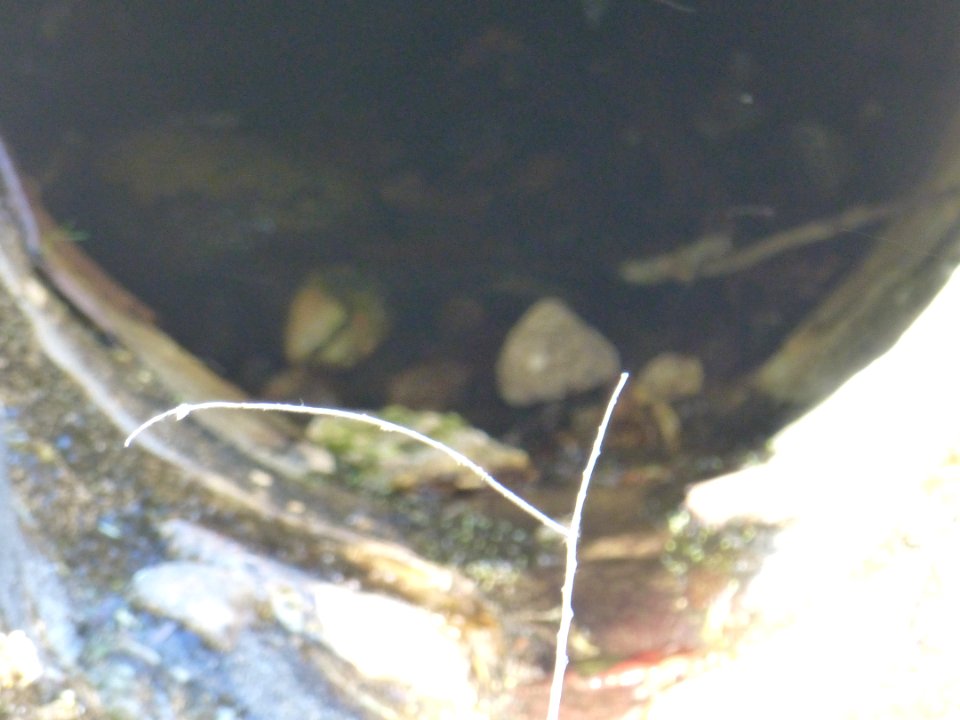P1040513 