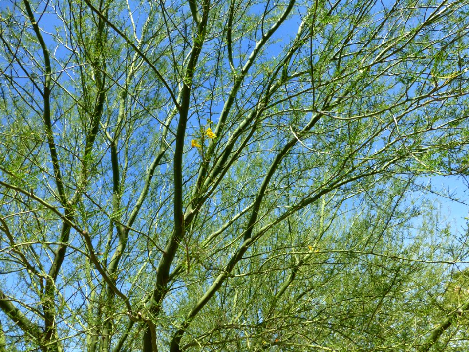 P1040570 