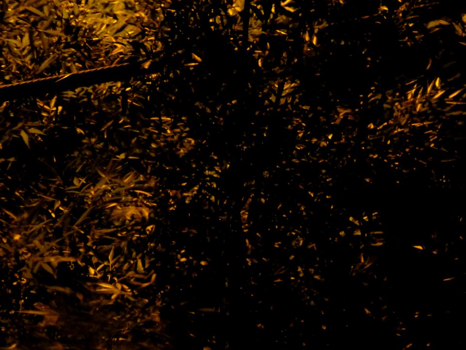 P1040640 