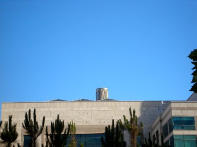 dsc01598.jpg 