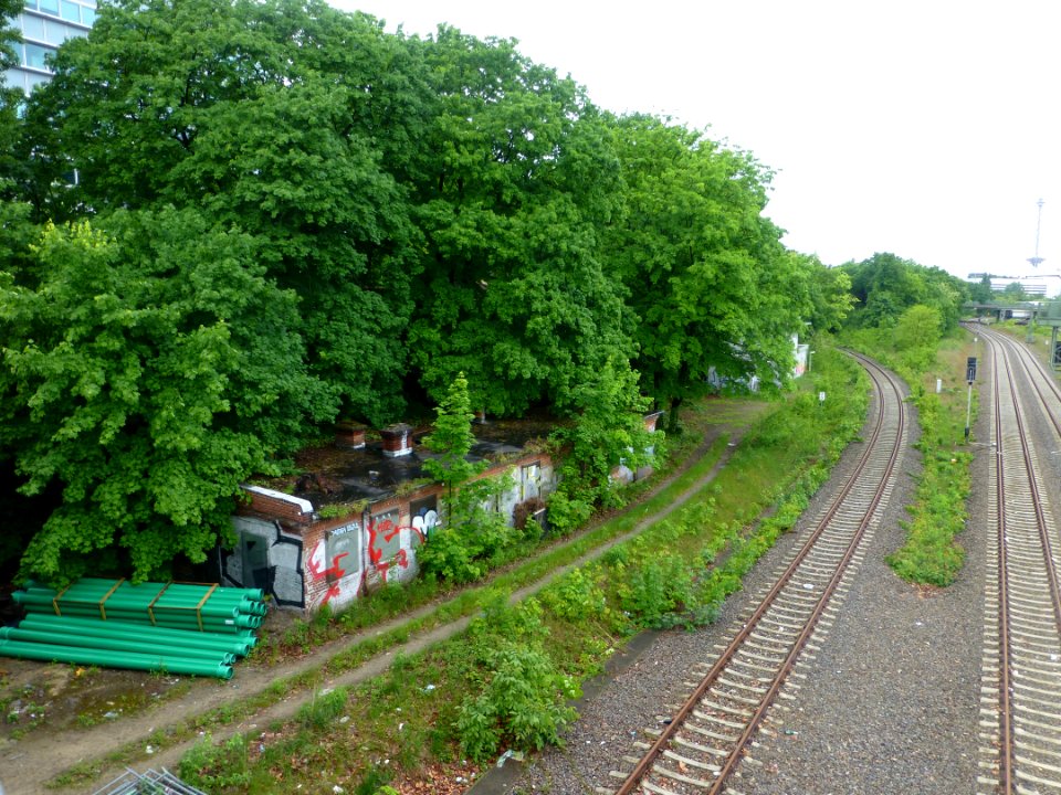 P1040736 