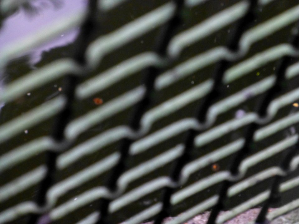 P1040779 
