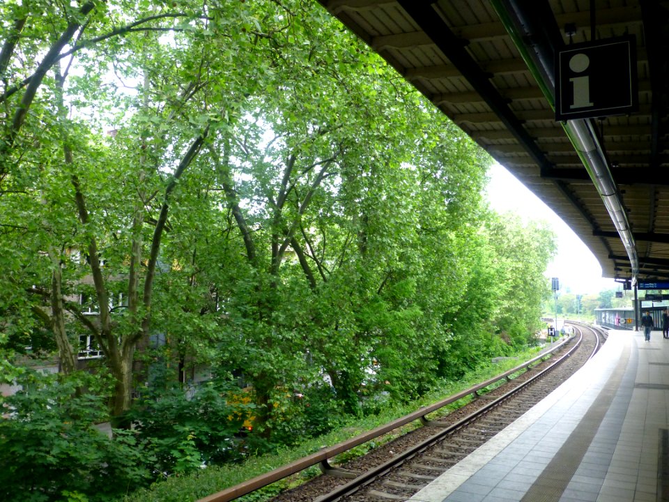 P1040842 