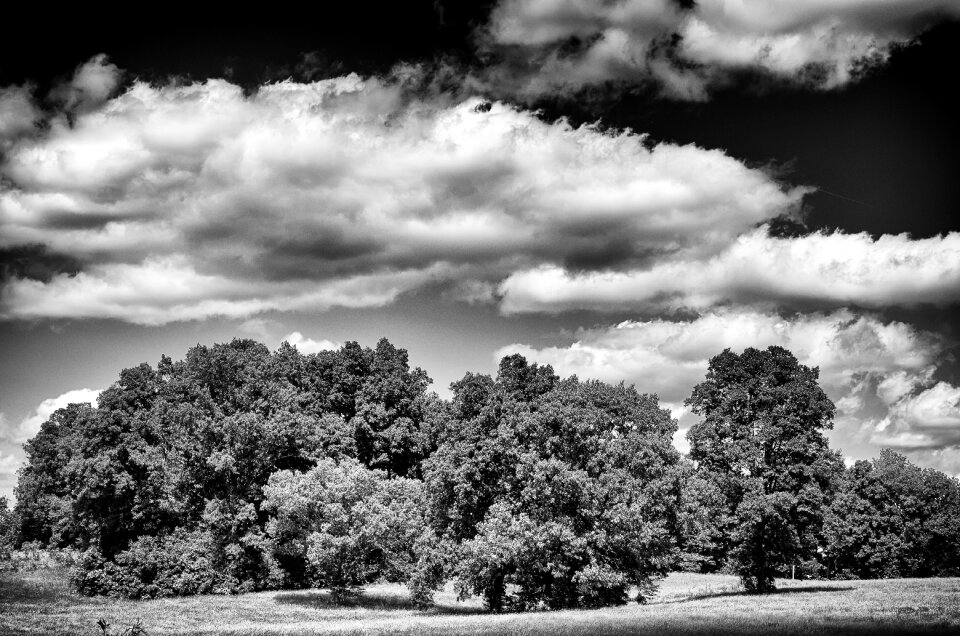 Rural landscape field