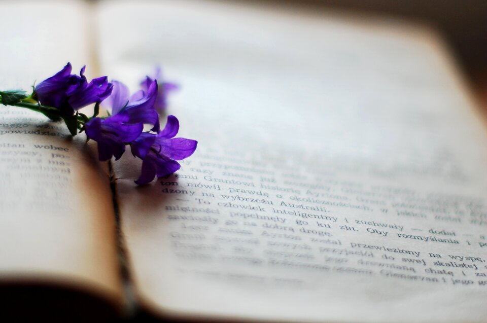 Old book yellowed pages reading