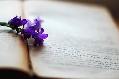 Old book yellowed pages reading
