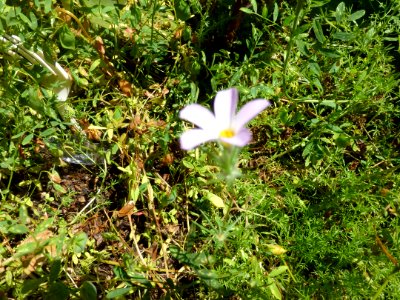 P1050048 