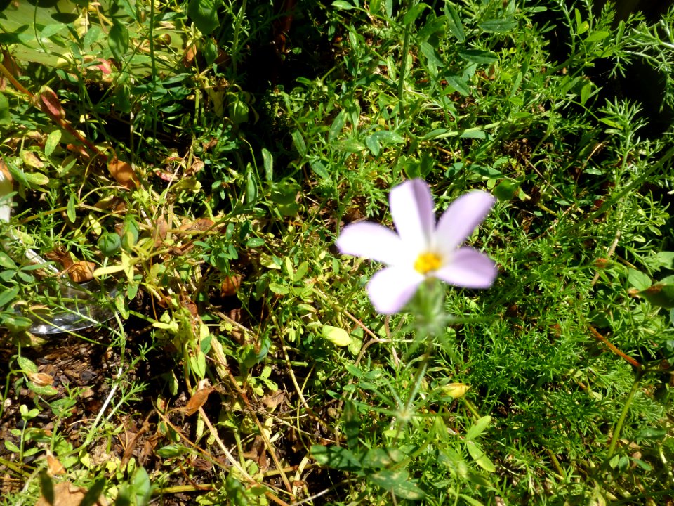P1050049 