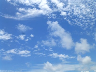 P1050071 