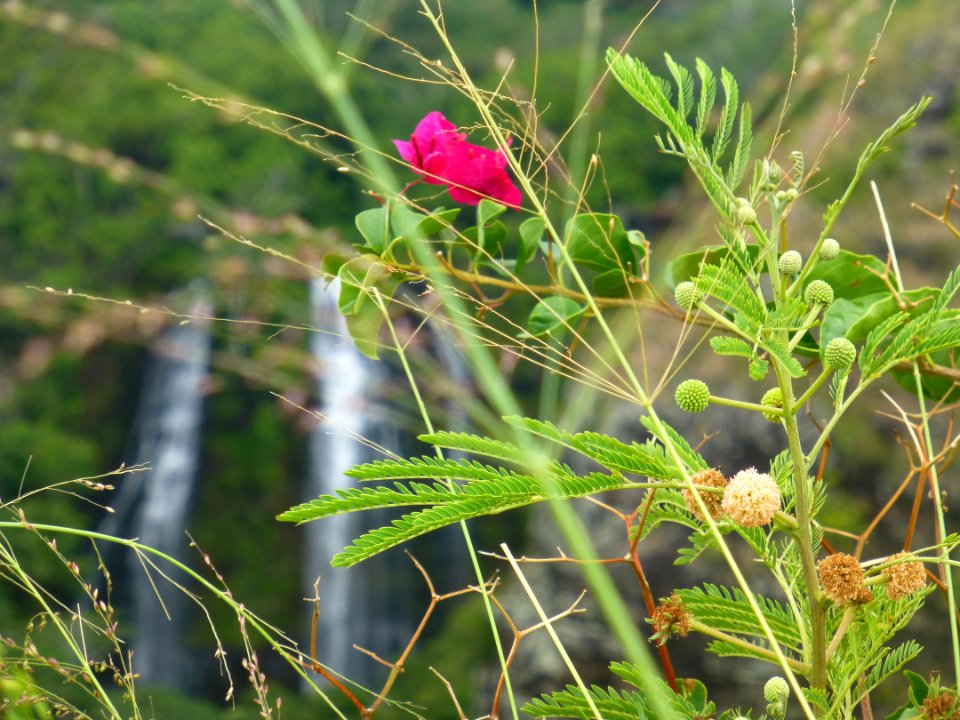 P1050086 