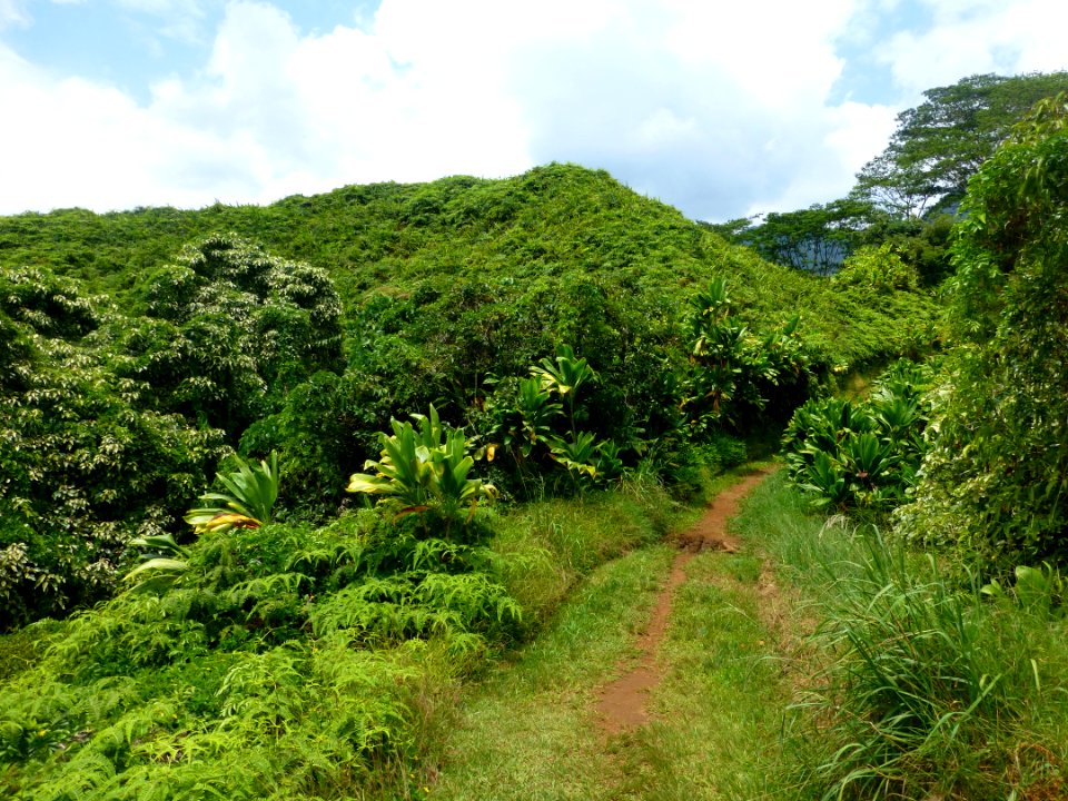 P1050099 
