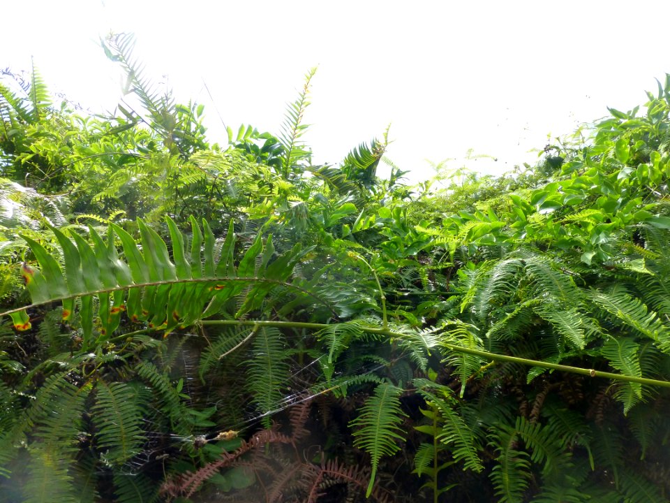 P1050100 