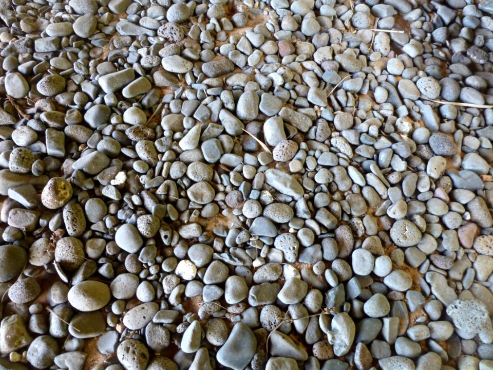P1050139 