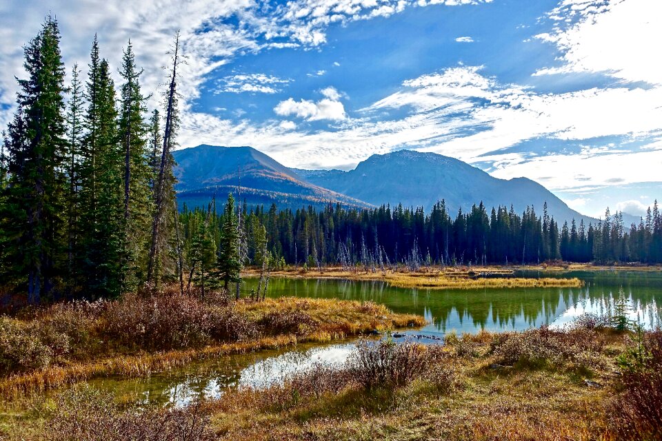 Tranquil reflection environment