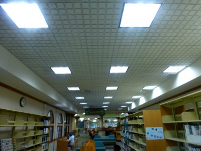 P1050131 
