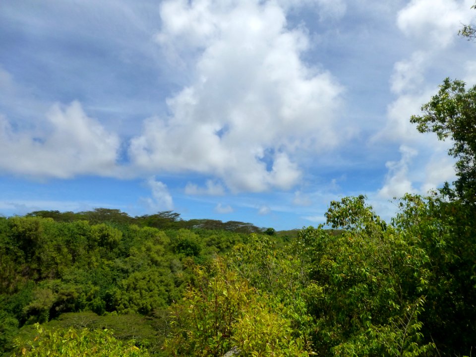P1050197 