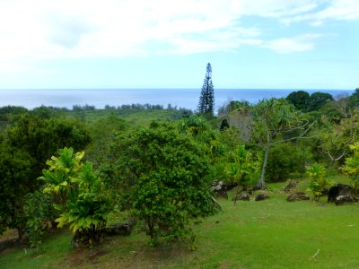 P1050158 