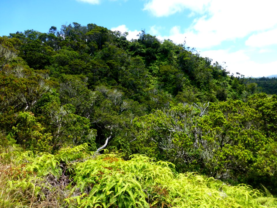 P1050254 