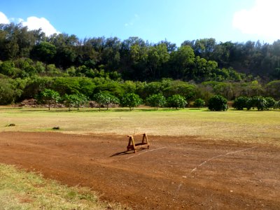 P1050301 