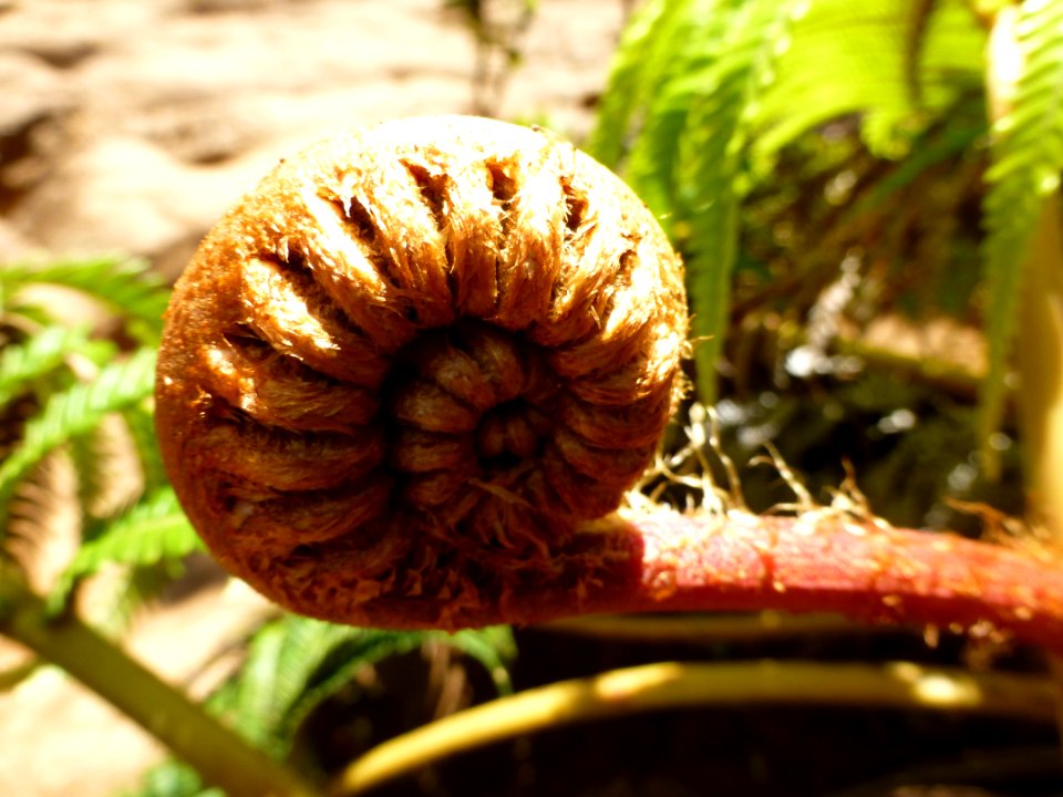 P1050246 