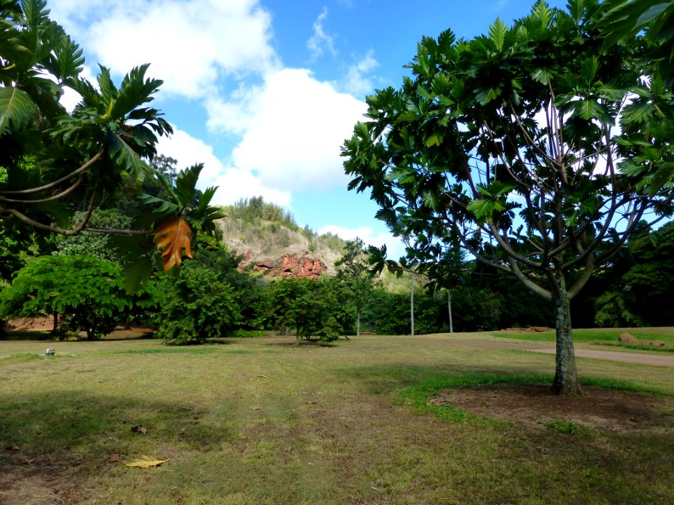 P1050298 