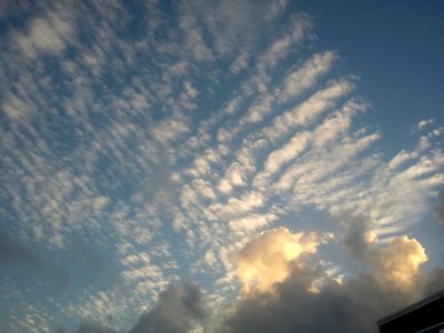 IMG_20130820_184329 