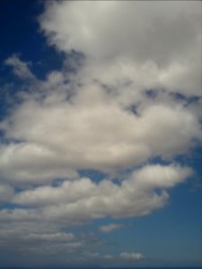 IMG_20130825_105521 
