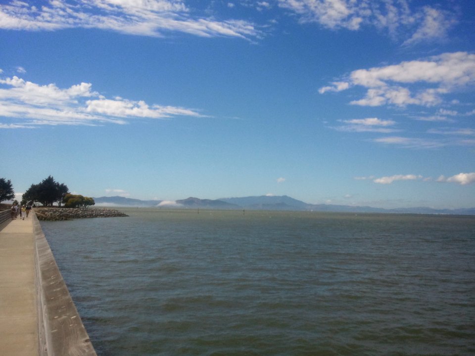 IMG_20130902_142940 