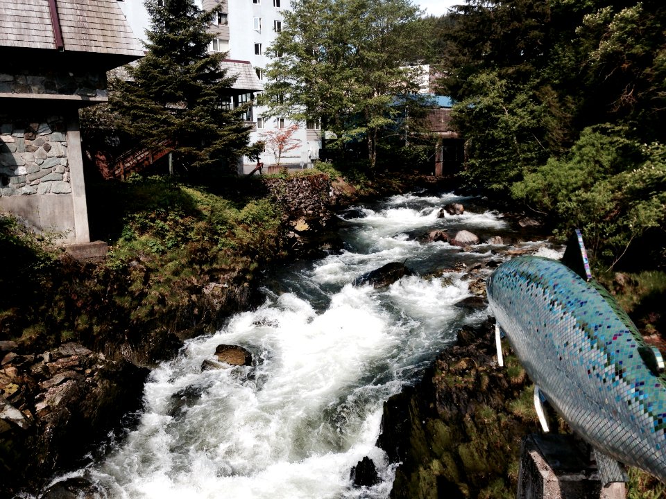 Creek, Ketchikan, AK 