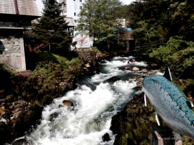 Creek, Ketchikan, AK 
