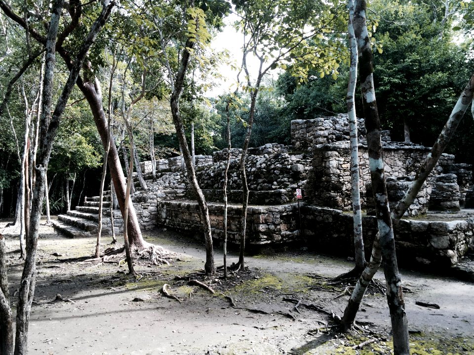 Temple Ruins, Coba, QR, MX 