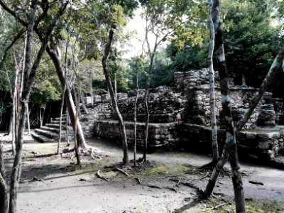 Temple Ruins, Coba, QR, MX 