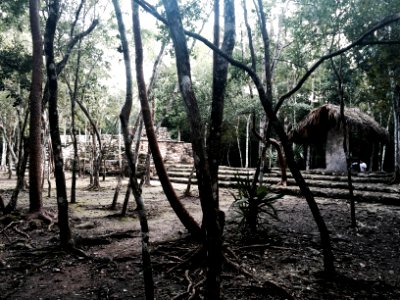 Temple Ruins, Coba, QR, MX 