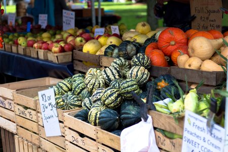 Vegetable produce harvest photo