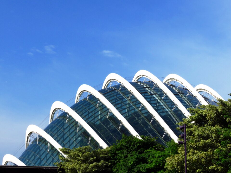 Singapore blue garden blue gardening