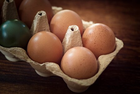 Colored easter eggs egg box photo
