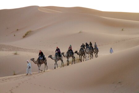 Desert sahara moroccan
