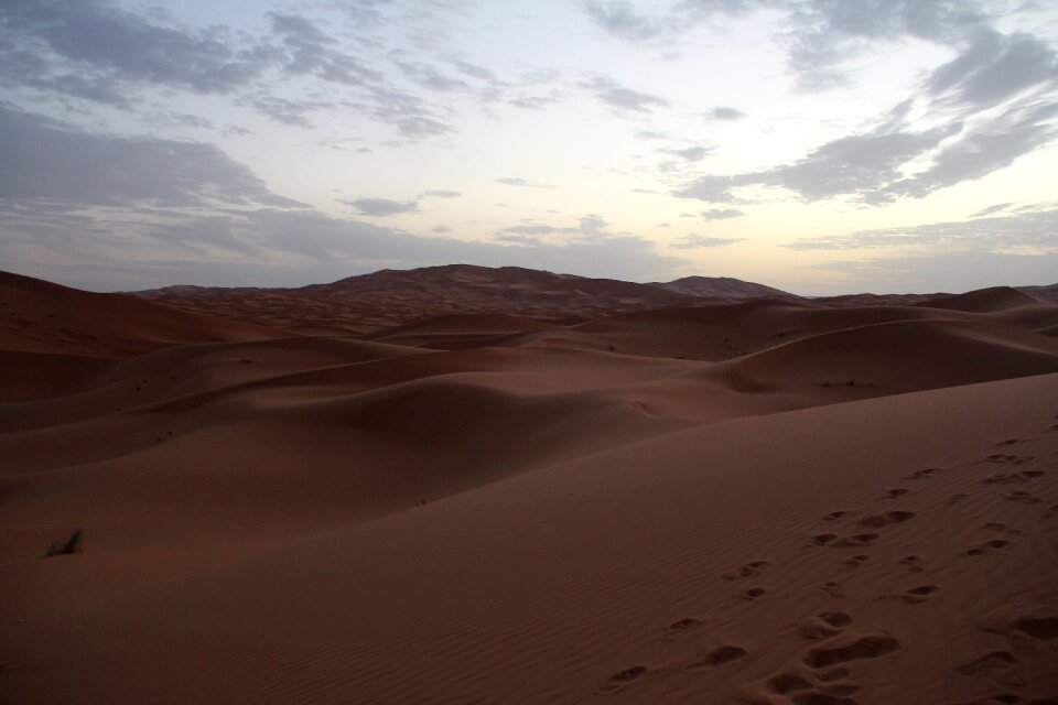 Desert sahara moroccan