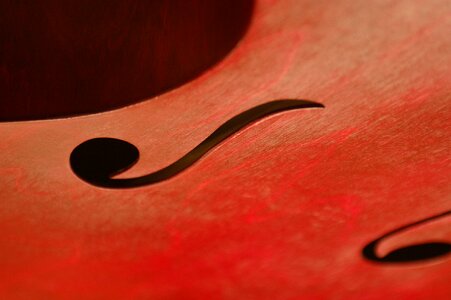 Curves music violin photo
