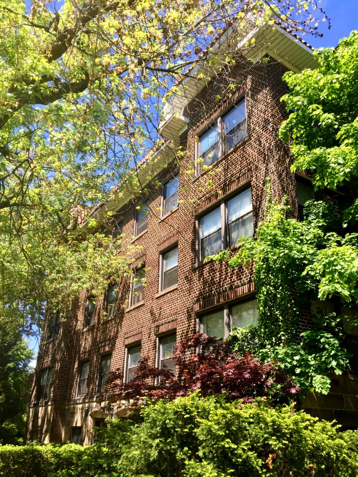 Euclid Heights Boulevard, Coventry Village, Cleveland Heig… 
