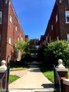 Mayfield Road, Coventry Village, Cleveland Heights, OH 