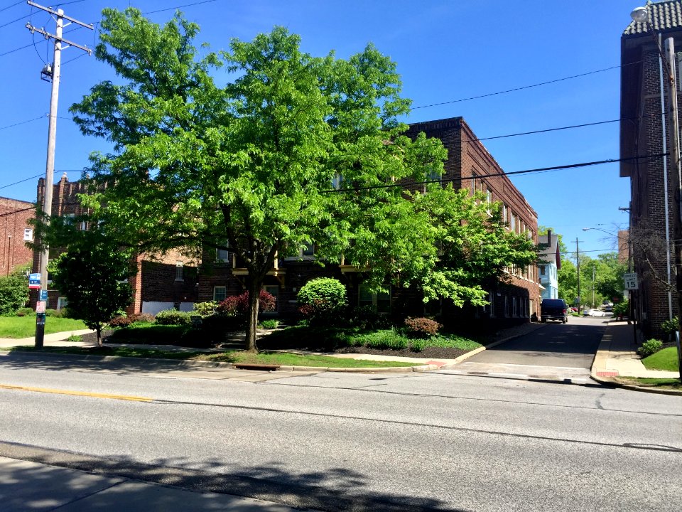 Mayfield Road, Coventry Village, Cleveland Heights, OH 