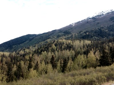 Kenai Peninsula, AK 