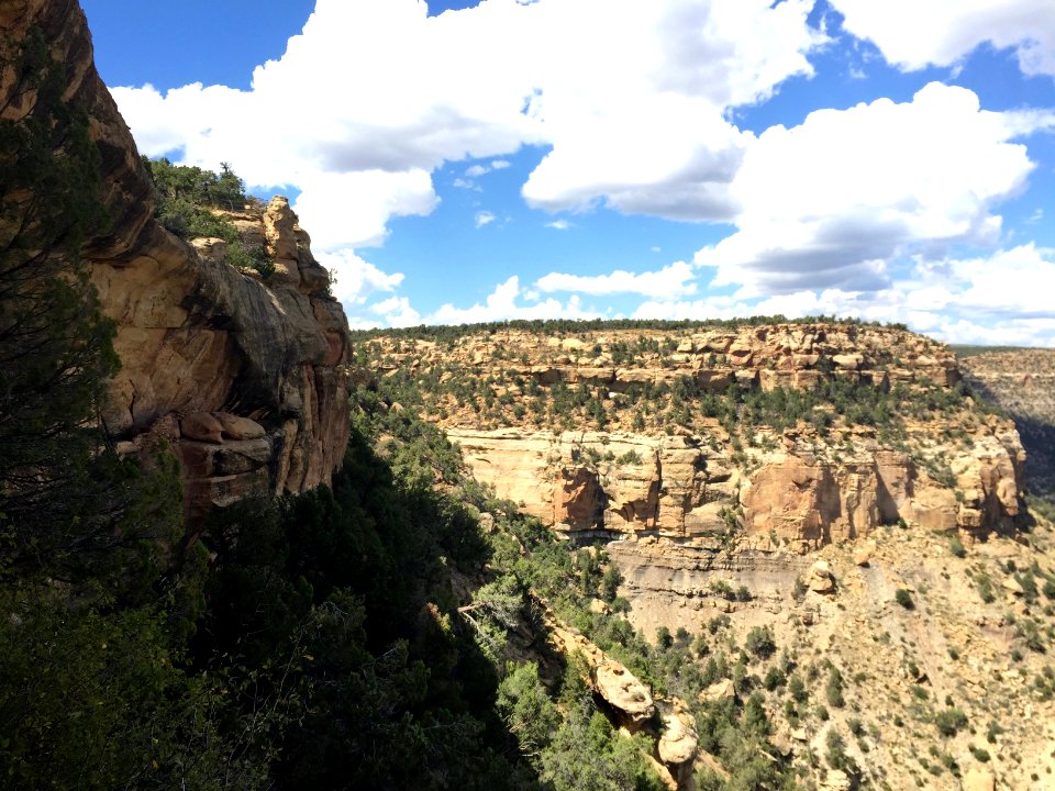 Canyon, Mesa Verde National Park, CO 