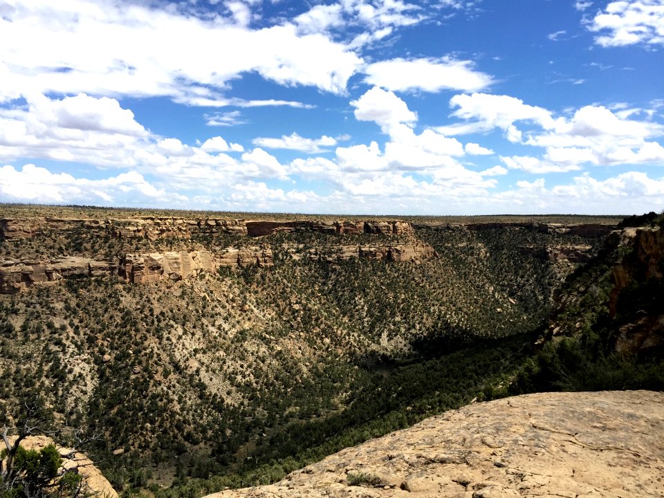 Canyon, Mesa Verde National Park, CO 