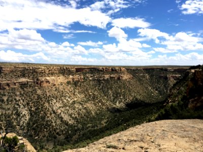 Canyon, Mesa Verde National Park, CO 