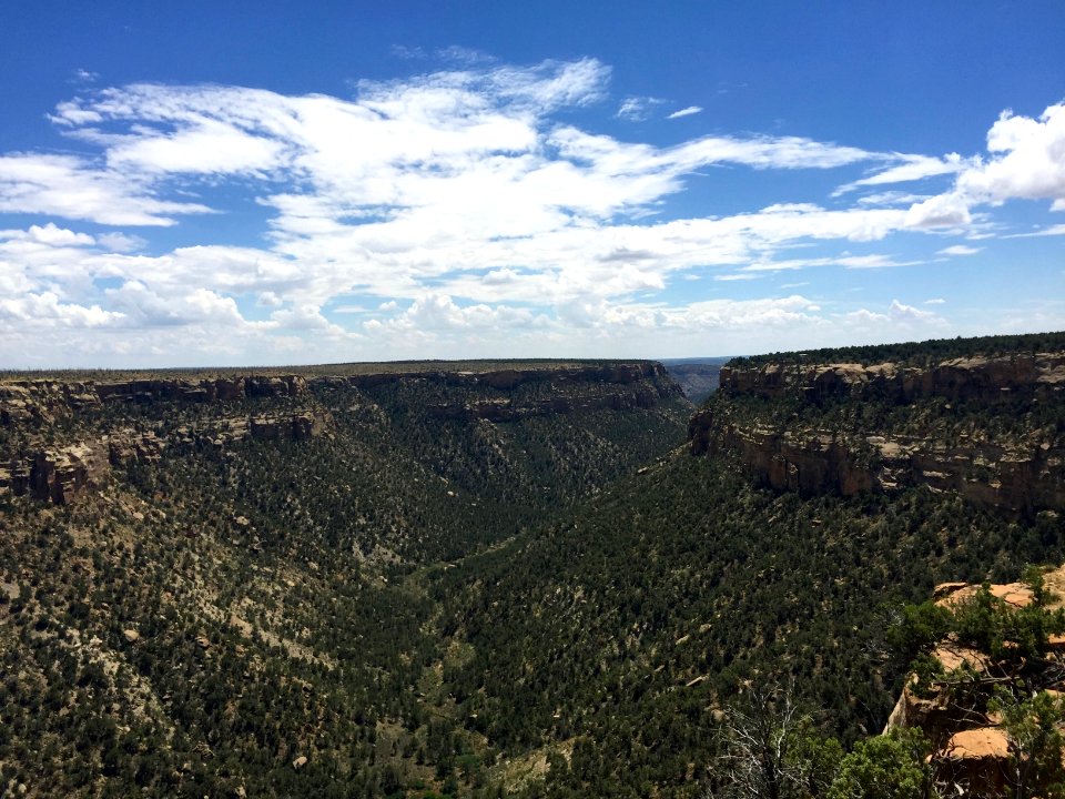 Canyon, Mesa Verde National Park, CO 