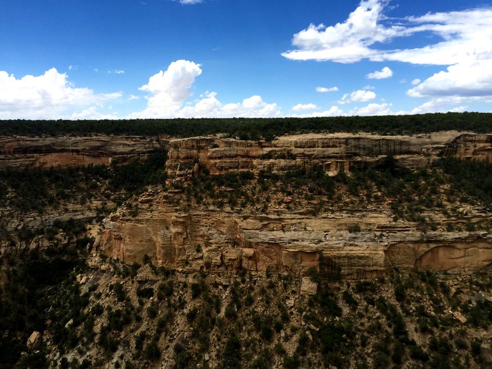 Canyon, Mesa Verde National Park, CO 
